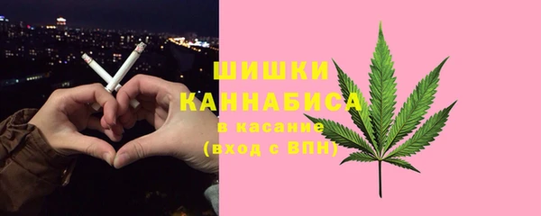 амф Верхний Тагил