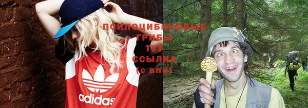 крисы Волоколамск