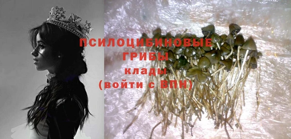 крисы Волоколамск