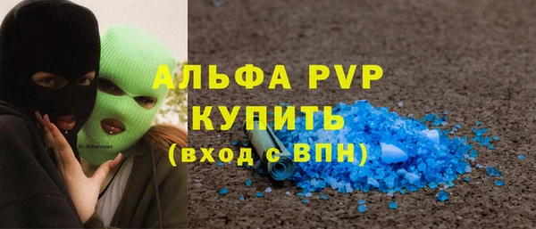 амф Верхний Тагил