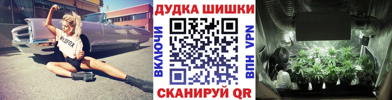 купить наркоту  mega   МАРИХУАНА план  Шахты 